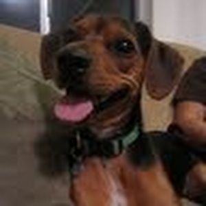 Meet your Posher, Becky